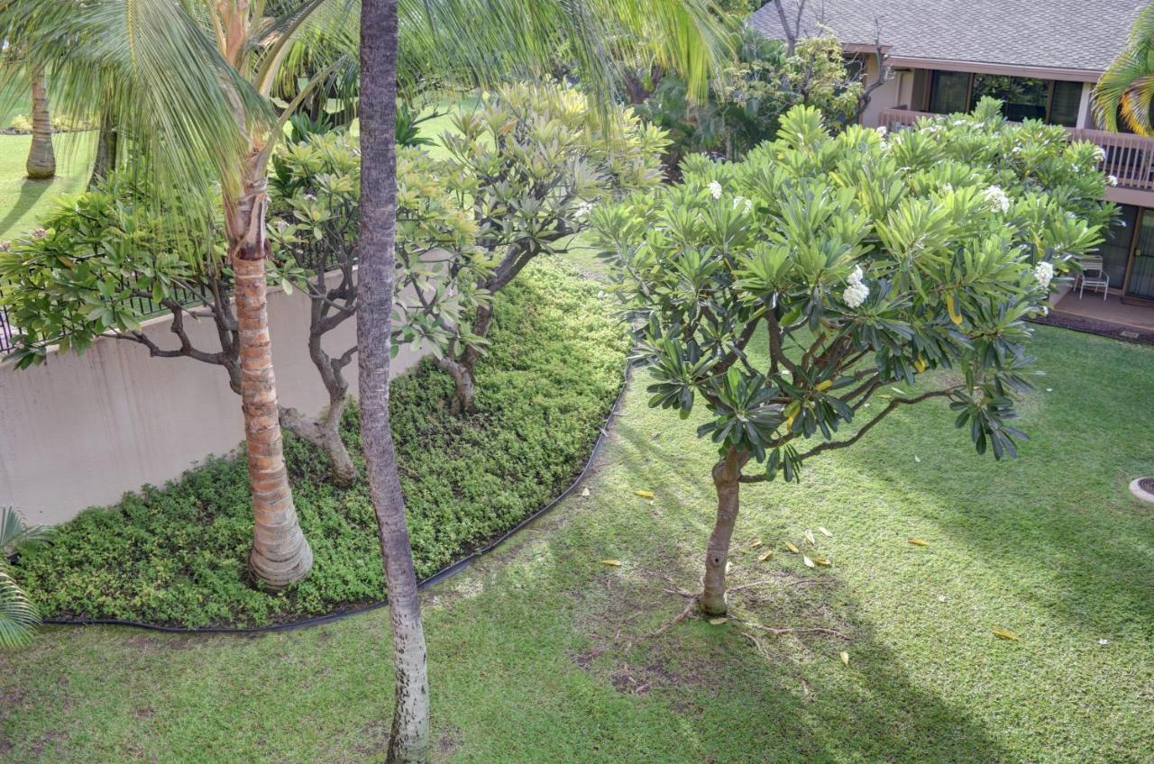 Apartament Kihei Akahi C308 Wailea  Zewnętrze zdjęcie